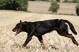 BEAUCERON 756